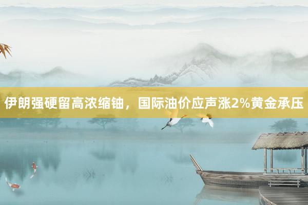 伊朗强硬留高浓缩铀，国际油价应声涨2%黄金承压