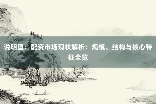 说明型：配资市场现状解析：规模、结构与核心特征全览