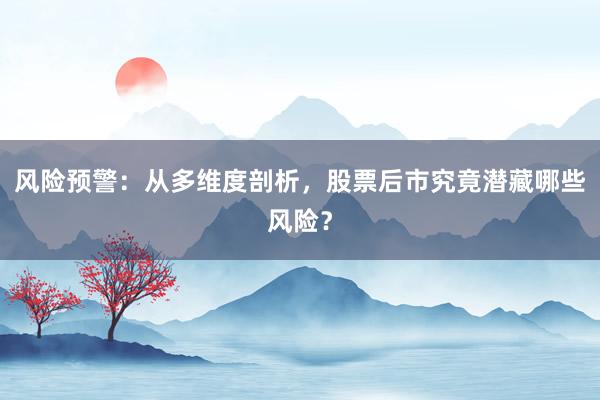 风险预警：从多维度剖析，股票后市究竟潜藏哪些风险？