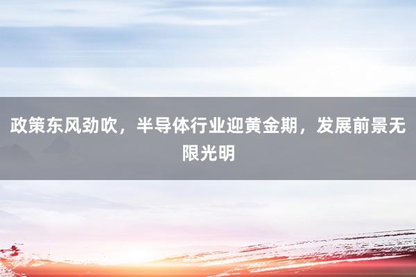 政策东风劲吹，半导体行业迎黄金期，发展前景无限光明