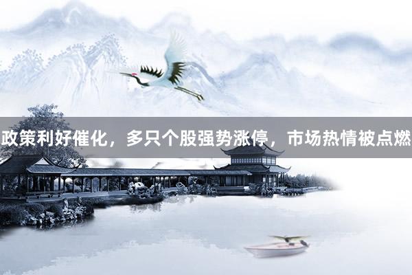 政策利好催化，多只个股强势涨停，市场热情被点燃