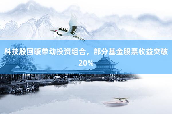 科技股回暖带动投资组合，部分基金股票收益突破20%