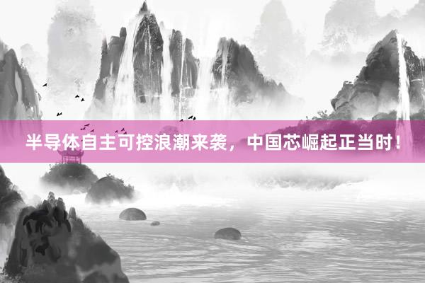 半导体自主可控浪潮来袭,中国芯崛起正当时!