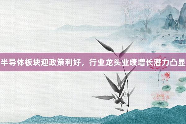 半导体板块迎政策利好，行业龙头业绩增长潜力凸显