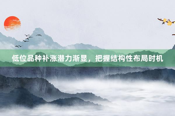 低位品种补涨潜力渐显，把握结构性布局时机