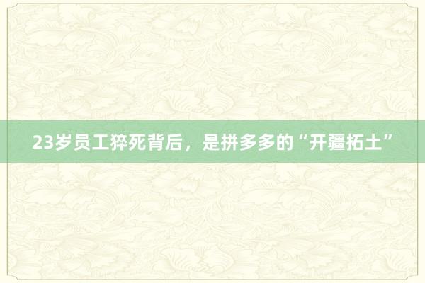 23岁员工猝死背后，是拼多多的“开疆拓土”