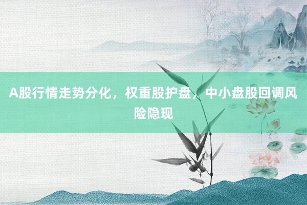 A股行情走势分化，权重股护盘，中小盘股回调风险隐现