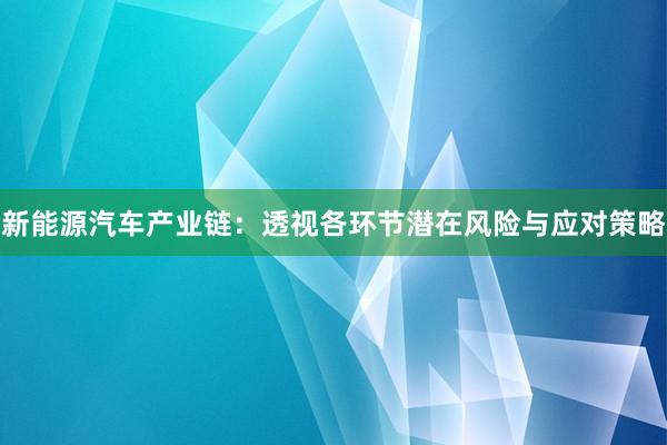 新能源汽车产业链：透视各环节潜在风险与应对策略