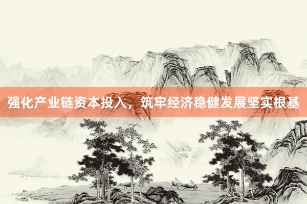 强化产业链资本投入，筑牢经济稳健发展坚实根基