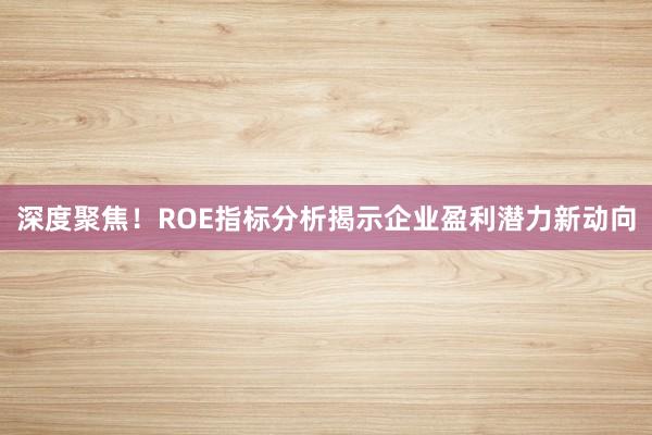 深度聚焦！ROE指标分析揭示企业盈利潜力新动向