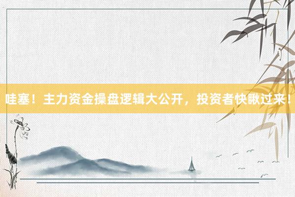 哇塞！主力资金操盘逻辑大公开，投资者快瞅过来！