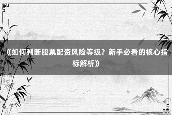 《如何判断股票配资风险等级？新手必看的核心指标解析》