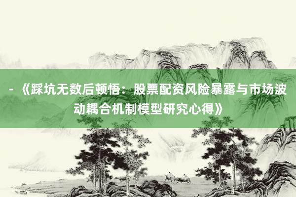 - 《踩坑无数后顿悟：股票配资风险暴露与市场波动耦合机制模型研究心得》
